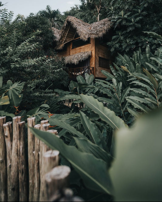 Sacred Oasis Retreat - reserve your spot