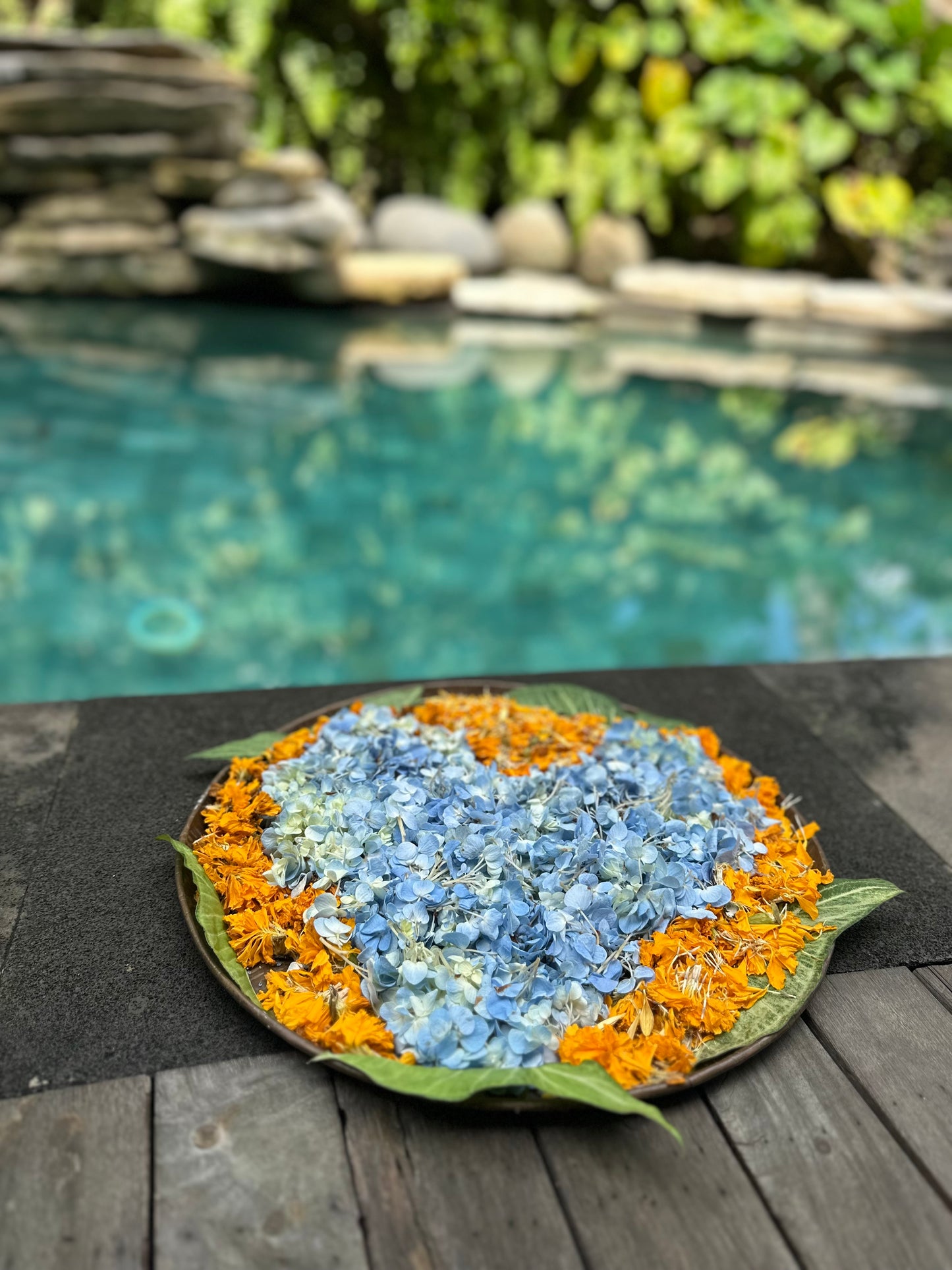 Single Occupancy Flourish Retreat- Bali, from June 22nd- June 30th  Early bird special *Spaces Limited*