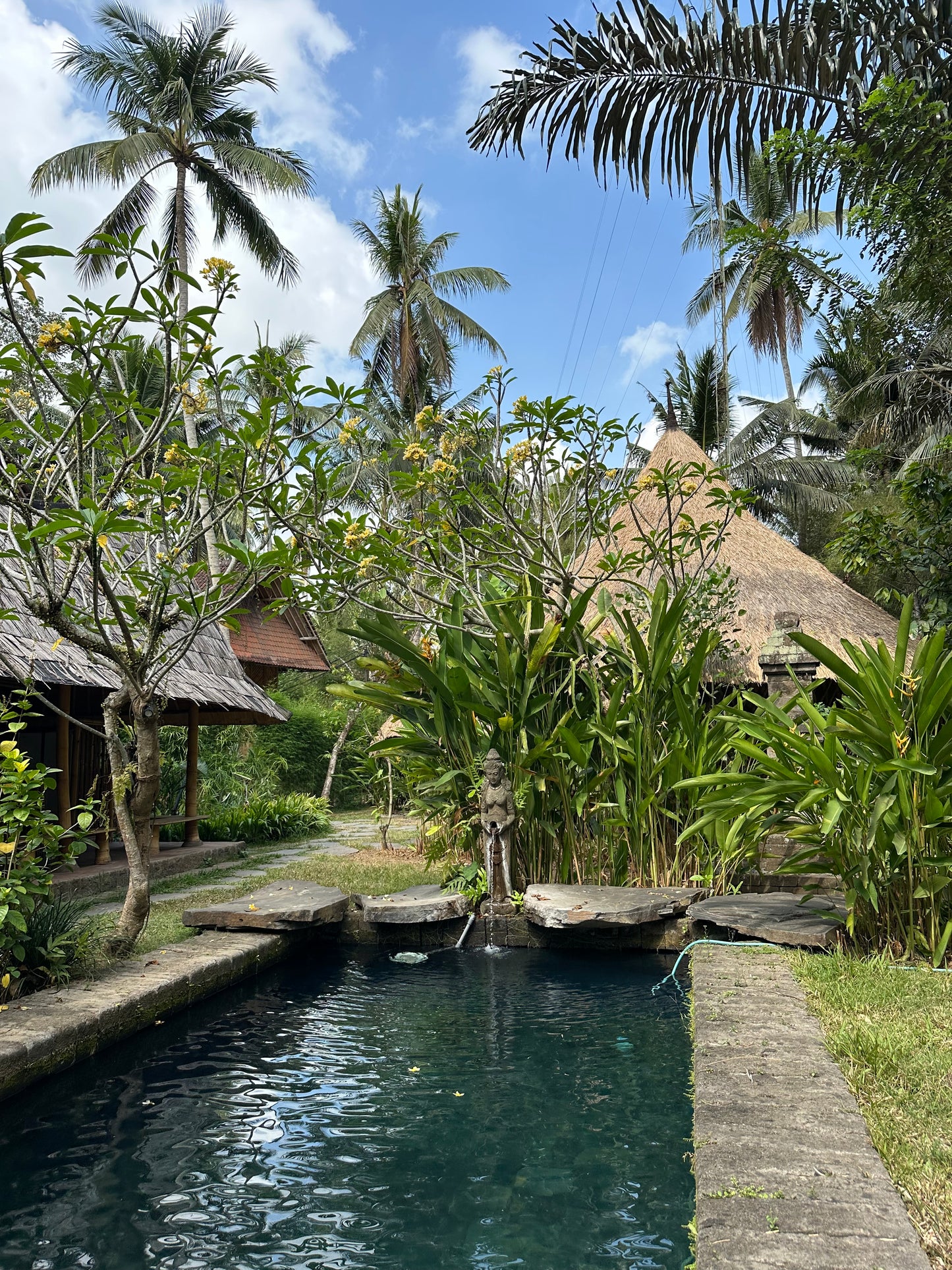 Single Occupancy Flourish Retreat, Bali from July 3rd - July 10th  *Spaces Limited*