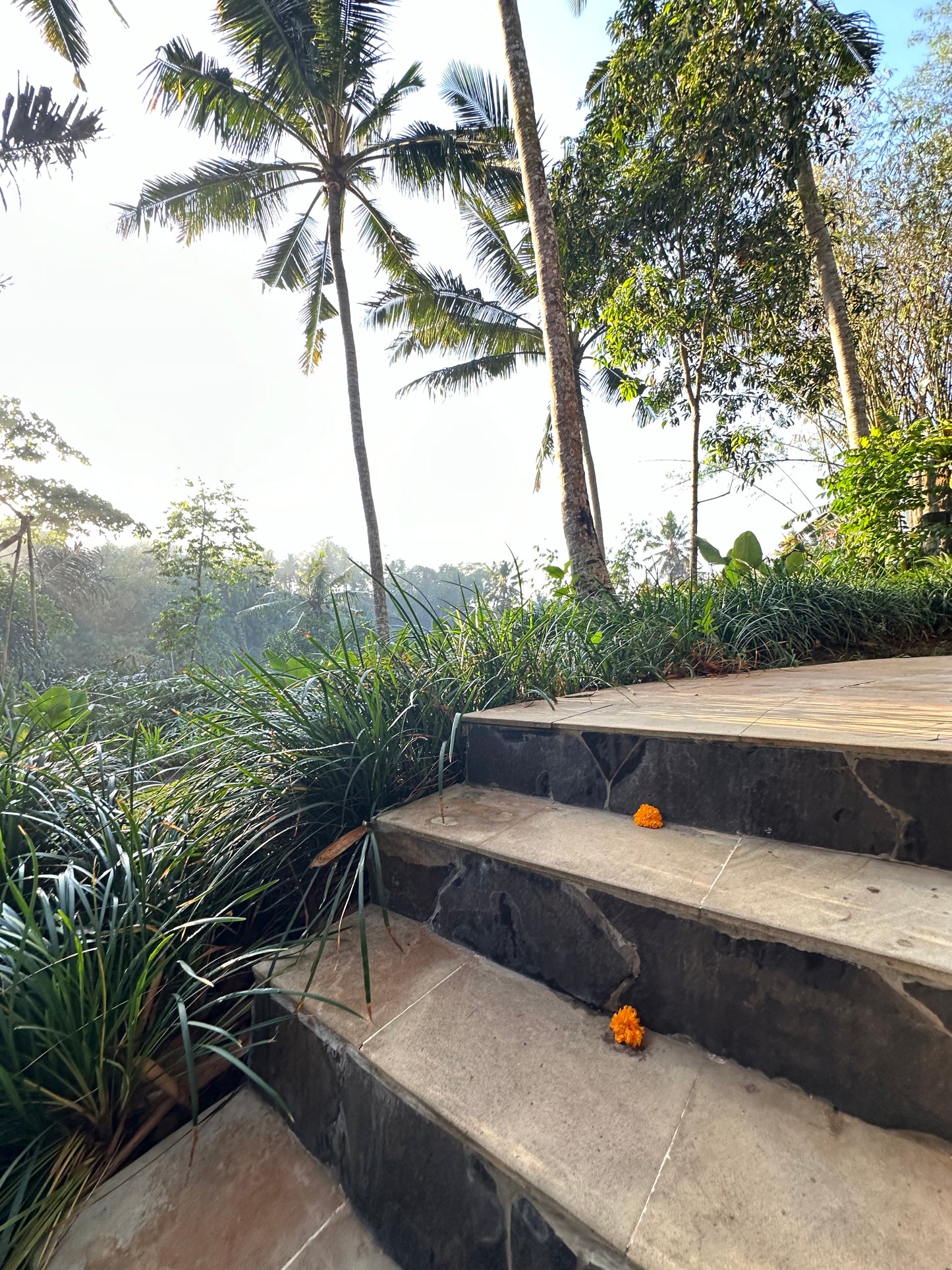 Single Occupancy Flourish Retreat, Bali from July 3rd - July 10th  *Spaces Limited*