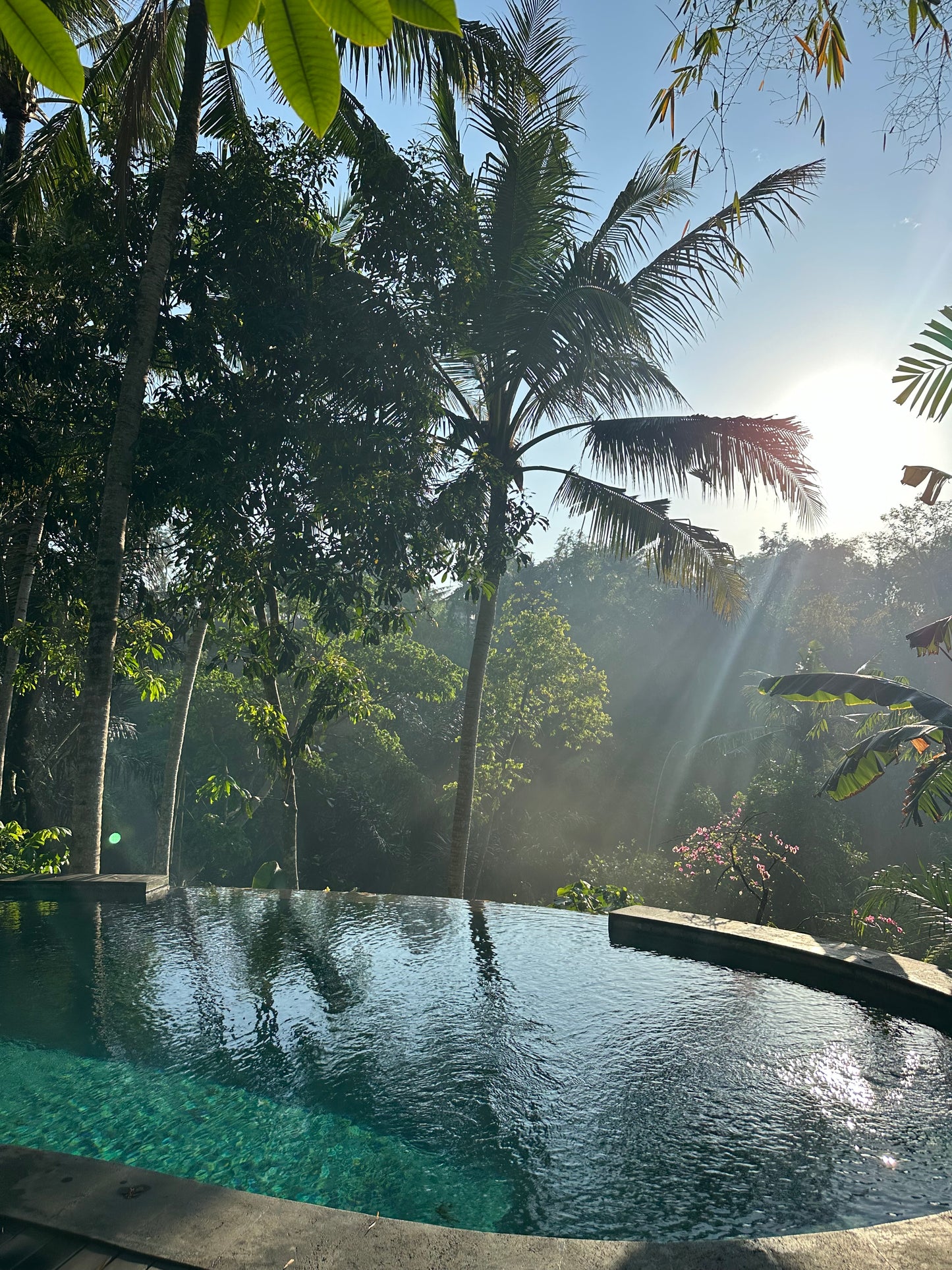 Single Occupancy Flourish Retreat, Bali from July 3rd - July 10th  *Spaces Limited*